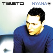 Never (Tiësto Remix) [feat. Tina Arena] artwork