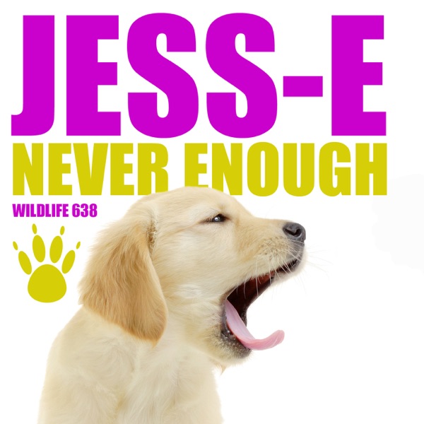 Never Enough - Single