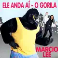 Coração Apaixonado E Perdido