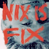 Nix is fix artwork
