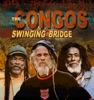 Dub Revolution Revolution Swinging Bridge