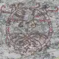 Biochemistry & Magnetism