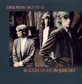 Dreams So Real - Rough Night In Jericho