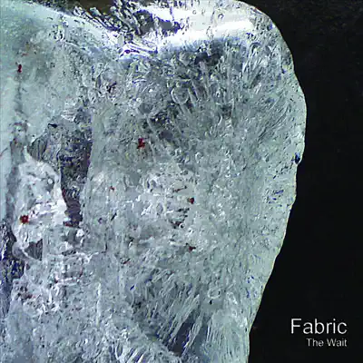 Listen to The Wait by Fabric