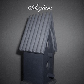 Never Was Good At Saying Goodbye Asylum