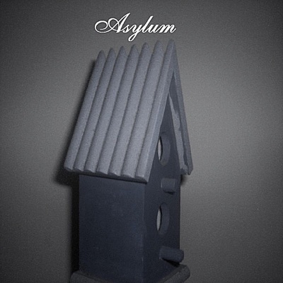 Asylum