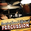 Amazing Sound Effects of Percussion