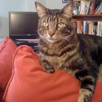 Hard to Leave - Single