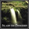 Islam: the Last Deen (+ Previews) - Hakim Archuletta lyrics