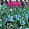 Castle of Uncle Robert - All Dinosaurs lyrics