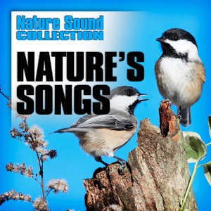 Nature’s Songs (Nature Sounds)