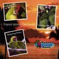 Trop-Rock Frame Of Mind