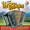 Frischer Wind