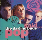 The Darling Buds - If I Said