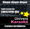 Dingue dingue dingue (Rendu célèbre par Christophe Maé) [Version karaoké] - Single - Univers Karaoké