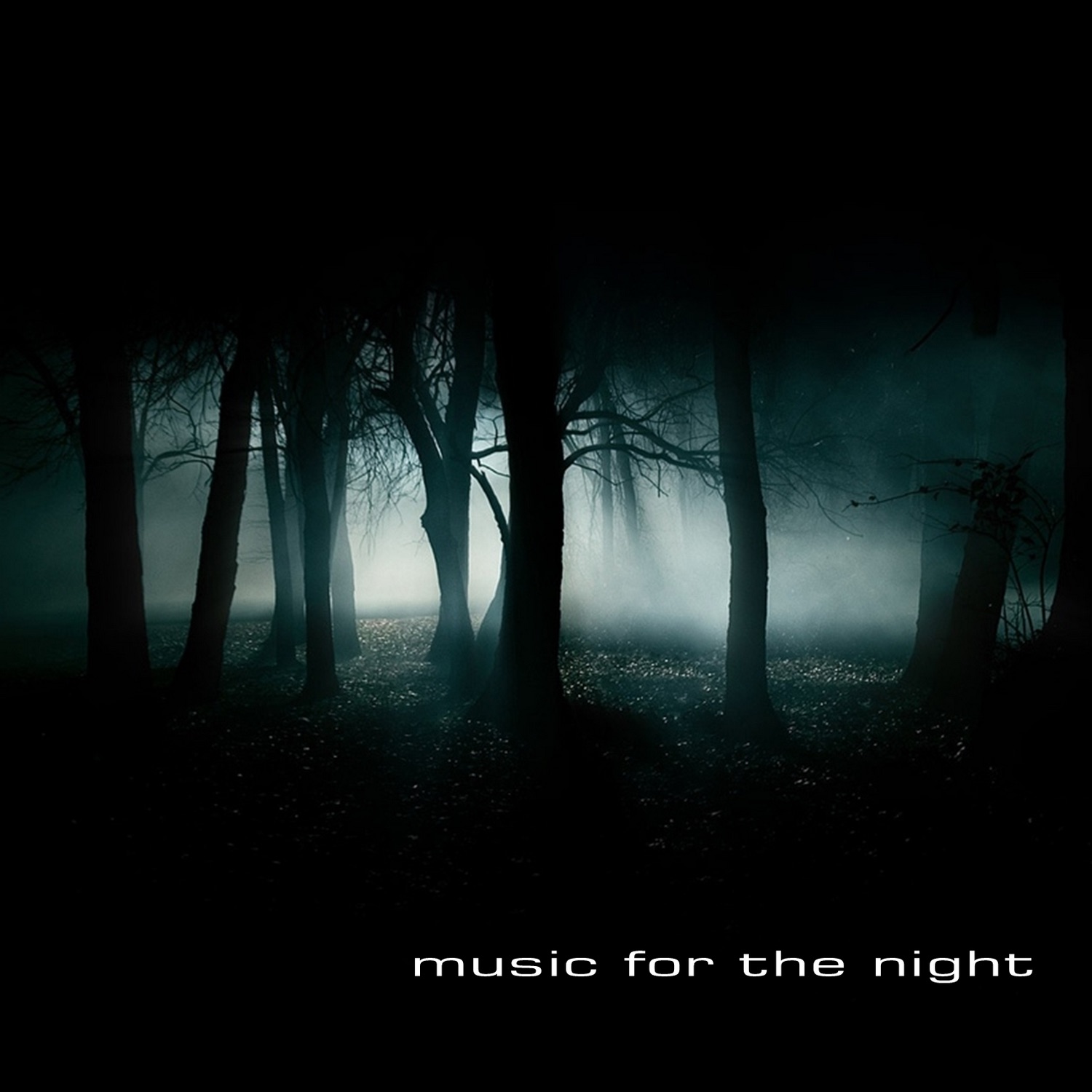 Music for the Night
