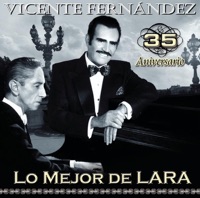 Vicente Fernández - Humo en los Ojos