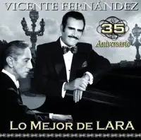 Amor De Mis Amores