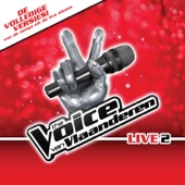 The Most Beautiful Girl In the World (From The Voice van Vlaanderen) artwork