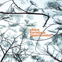 Variations opportunistes - Erikm