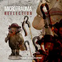Reflection (Egbert Remix) — Microtrauma