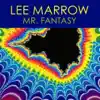 Lee Marrow - Mr. Fantasy