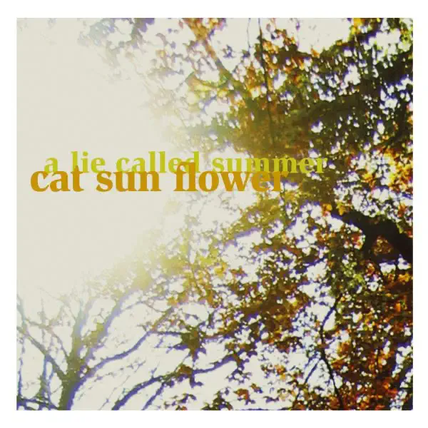 Aspirin — Cat Sun Flower