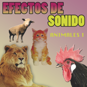 Perro Lanto Dog