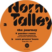 The Journey (Scott Grooves Panther Remix) artwork