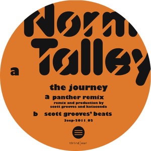 The Journey (Scott Grooves Panther Remix)
