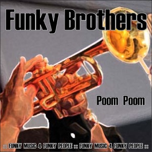 Poom Poom - Single