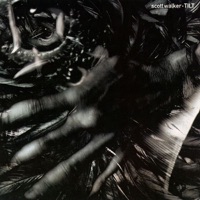 Tilt - Scott Walker