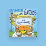 Banda Los Gatchos