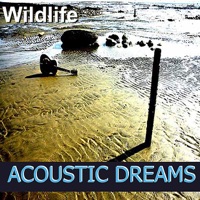 Acoustic Dreams - Wildlife