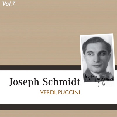Joseph Schmidt, Vol. 7 (1929-1931)