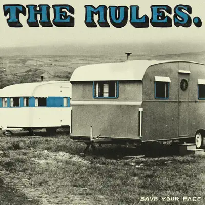 Hör dir „Save Your Face“ von The Mules an