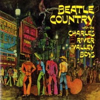 The Charles River Valley Boys - I've Just Seen a Face