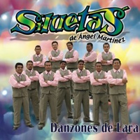 La Fiesta De Las Siluetas,La Fiesta,La Pollera Colora,Mambo No 8,Brasil,El Baile De L Perrito,Las Raspa