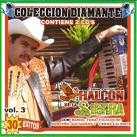 30 Exitos Vol.3 - El Halcon de la Sierra