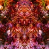 Remixed + Unreleased