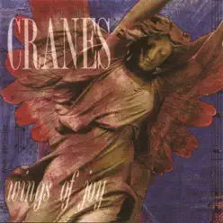 Wings of Joy - Cranes