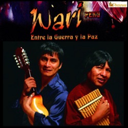 Wari - El artesano