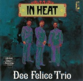 Dee Felice Trio - There Was a Time