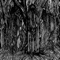 Bathory Erzebet - sunn O))) lyrics