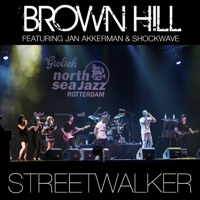 Brown Hill - Streetwalker (feat. Jan Akkerman & Shockwave)
