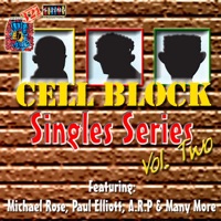 Cell Block Singles Series Vol.Ii - Alley Cat, Norris Man, Arp, A.R.P & Delly Ranks, Red Dragon, Lepraclaun, Galimore, Sizzla, Tasha T, Pinchers, Rappa Robert, Risco Benjie, Micheal Rose, Shaka Pow & Paul Elliot