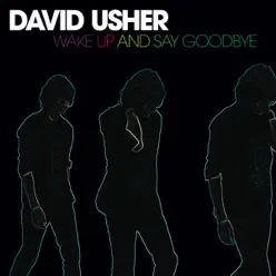 Wake Up and Say Goodbye - David Usher