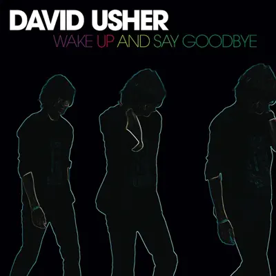 Wake Up and Say Goodbye - David Usher
