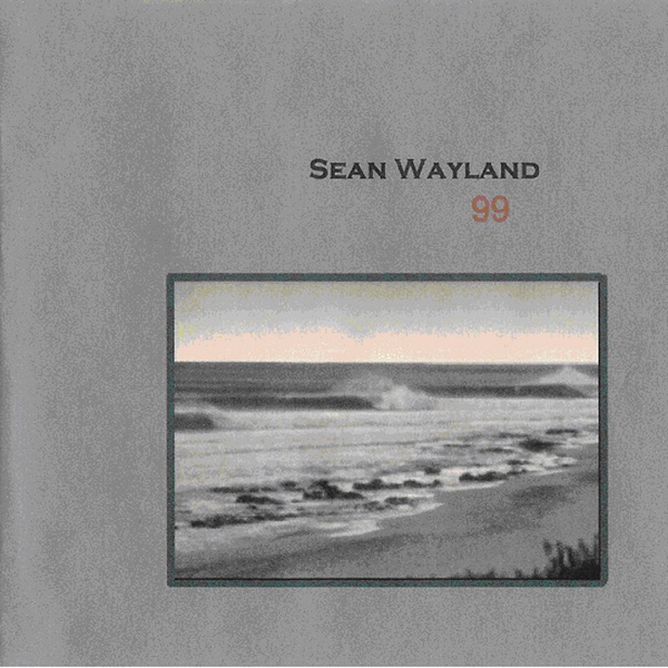 '99 Featuring Jesse Harris and Seamus Blake