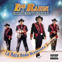 La Raza Anda Acelerada - Los Razos